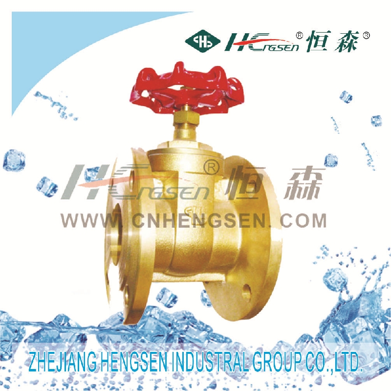 <font color='red'>Hengsen</font> <font color='red'>Brass</font> <font color='red'>flanged</font> gate valve