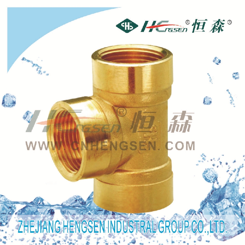 Hengsen female tee