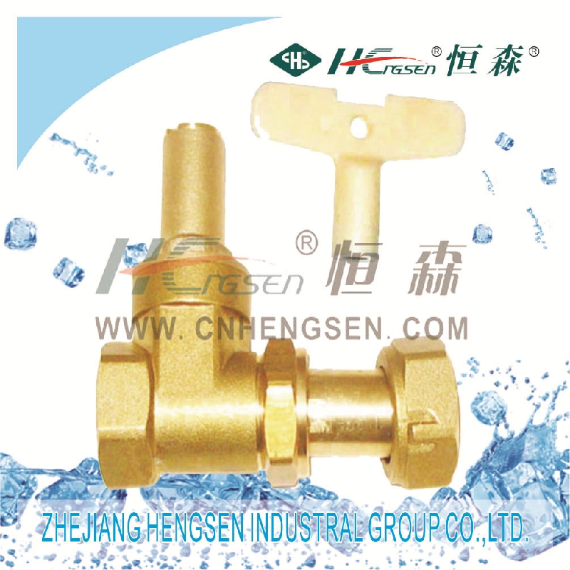 Hengsen  brass flexible gate valve with lock