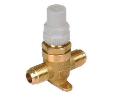 <font color='red'>HPEOK</font> Capped Valve