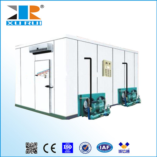 Quick-freezing cold storage PU Insulated Panel for Freezer Room