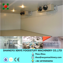 cold storage freezer/cold storage room