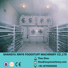 Cold storage blast freezer for cold room