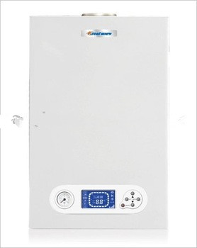 Gas boiler