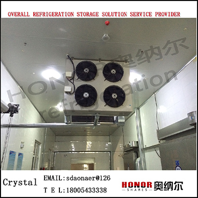 air cooled condenser for cold room air cool chiller price