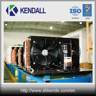 Air Cooled Hermetic Refrigeration Unit with Copeland Scroll Compressor