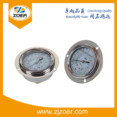 ZRLR Series Pressure Gauge