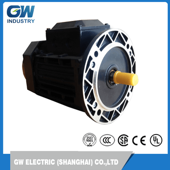 High efficieny IEC standards Aluminum Three phase asynchronous electrical motor