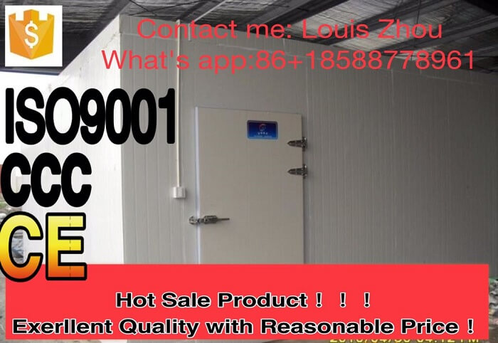 4000*4000*2400mm walk in cold room Commercial cold room,cold storage room factory