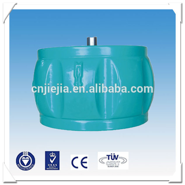 H71XT The wafer check valve