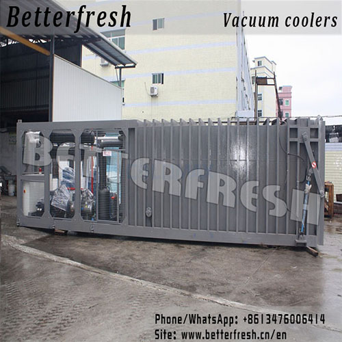 Dongguan Betterfresh High Temperature Rapid Cooling Increase Shelf Life Pre Coolers Vacuum Cooling Machine for Refrigeration Food Vegetables Fruits