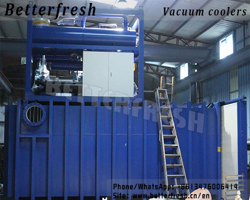 Dongguan Betterfresh Effective Vacuum Cooler for Vegetables &Fruits