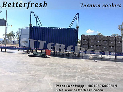 Vacuum Pre Coolers for Vegetables & Fruits