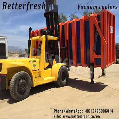 Dongguan Betterfresh Vacuum Cooling Pre Coolers Vacuum Coolers for Vegetables Food Rice Pork Fruits