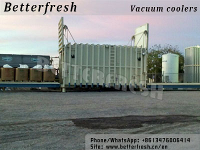 Manufacturer Betterfresh Supplys Vacuum Cooling Farm Cooling Vegetable Cooling Vacuum Cooler for Fast Cooling and Quality Vegetables & Food