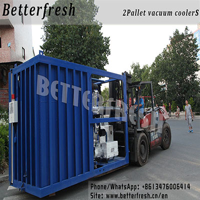 Manufacturer Betterfresh and Installation of Vacuum Cooler Cooling Equipment for Fast Cooling Quality Flower Vegetable and Fruit