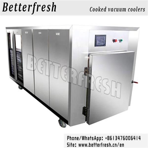 Dongguan Betterfresh Rapid Cooling Cooked Pre Coolers Vacuum Cooling