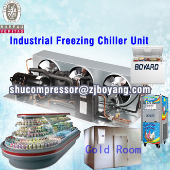Air Cooled Condensing Unit for Refrigeration Freezer Cold Rooms supermarket cabinet display showcase