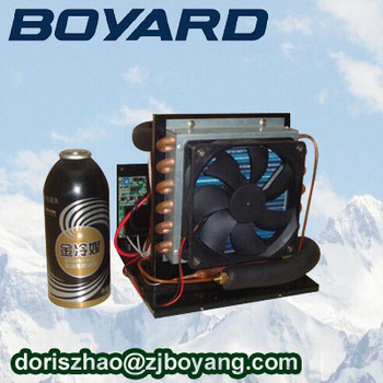 R134A dc 12v 24v mini refrigeration unit for pet air conditioner