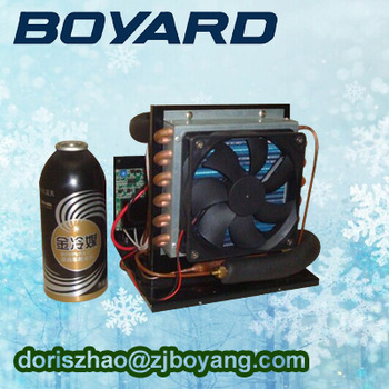 zhejiang boyard 12v 24v small refrigeration units with boyard 12v compressor for refrigerated