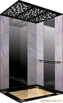 Passenger <font color='red'>elevator</font>