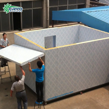 Insulated door cold storage room for fish manufacturers