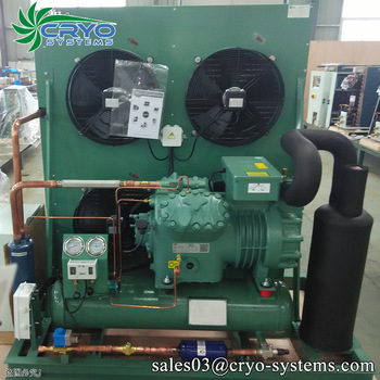 walk in freezer indoor/energy saving honey peach cold room/1000 tons capacity cold room for fish and