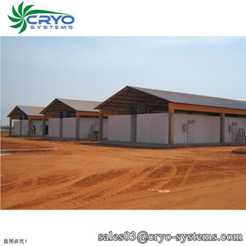 cold rooms(chambers) for whole body cryotherapy/insulation cold room for peanut/40 feet cold room containers