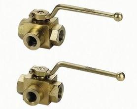 SS Manual 2 Way Ball Valve