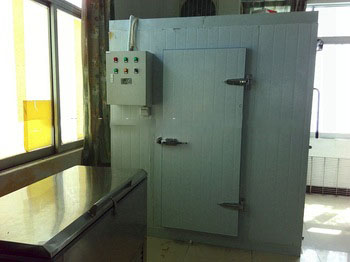 CHEERING customize walk in freezer cold storage container cold room made in china