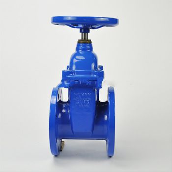 china supplier irrigation Cast Iron gate valve dn10