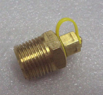 brass pressure/temperature test plugs