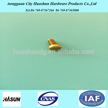 China supply High quality customized security copper screw ,Brass screw