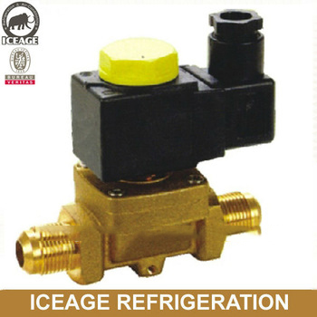 Flare type Solenoid Valve 220V AC