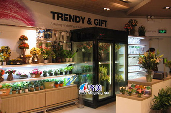 09YG stand <font color='red'>upright</font> vertical freezer dispaly <font color='red'>showcase</font> <font color='red'>cabinet</font> for <font color='red'>flower</font>