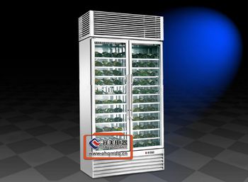 Certified YBJ-2 Glass Door Compressor Wine Cabinet