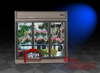 <font color='red'>09</font> FE Flower display cooler