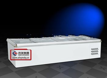 Chest Display Freezer/Refrigerator