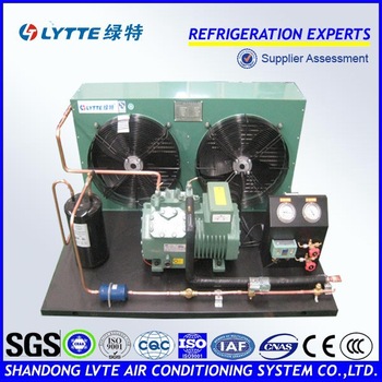 Refrigeration Bitzer Condensing Unit for Freezer Storage (JZBF Series)