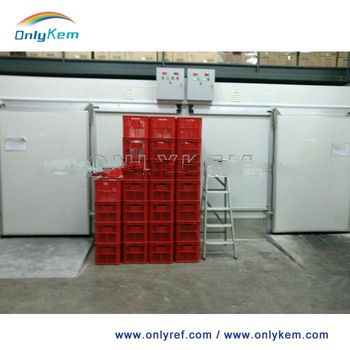 mobile refrigerator door lock cold room for frozen pizza dough