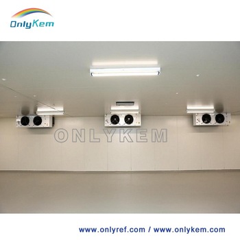 cold room chiller refrigerator freezer with diesel generator