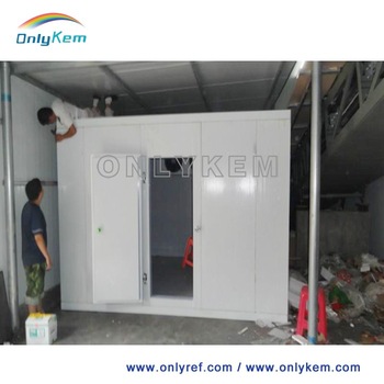 Flower growing cold room, container cold room for flower