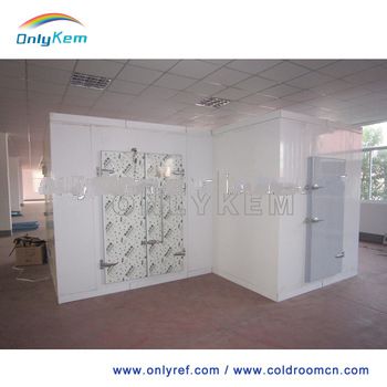 fresh tomatoes storage machine freezer for vegetables in india