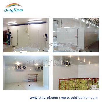 cold storage plant & machinery price