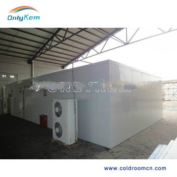walkin freezer/ cooler cold room price for blood