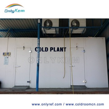 walk in pineapple cold storage for sale