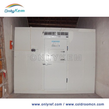 temperature controlled cold room freezer for meat
