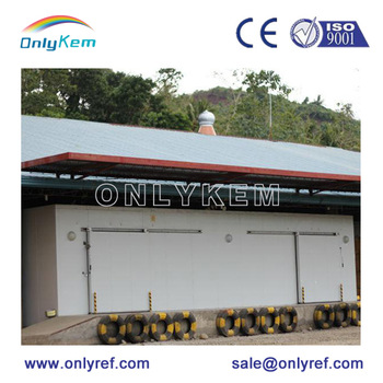 new technology cold storage for vegetable