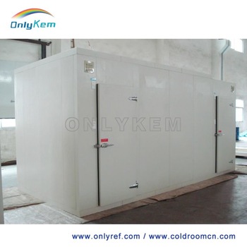 cold storage room for frozen meat / chicken