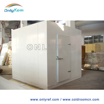 Mini storage freezer with CE